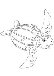 plansa de colorat go diego go #13