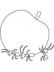 plansa de colorat greierele si furnica #2