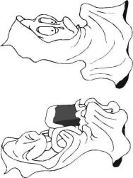 plansa de colorat hallowen #13