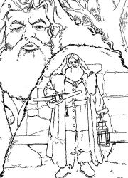 plansa de colorat harry potter camera secretelor #7