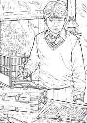 plansa de colorat harry potter #20