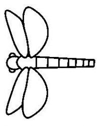 plansa de colorat insecte #2