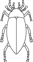 plansa de colorat insecte #3