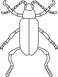 plansa de colorat insecte #4