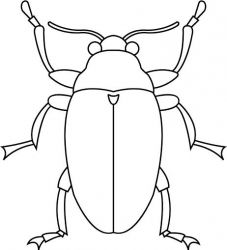 plansa de colorat insecte #5