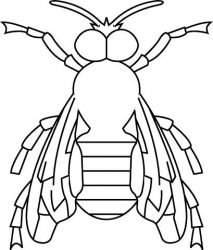 plansa de colorat insecte #6