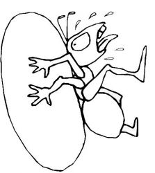 plansa de colorat insecte #20