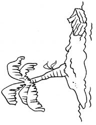 plansa de colorat insule #6