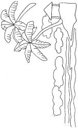 plansa de colorat insule #12