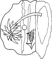 plansa de colorat insule #14