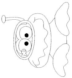 plansa de colorat la mare #7