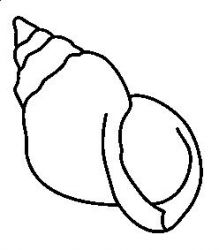 plansa de colorat la mare #14