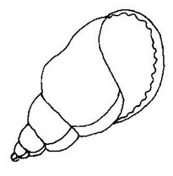 plansa de colorat la mare #1