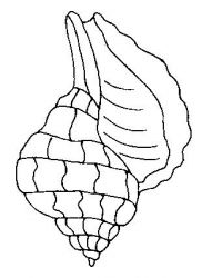 plansa de colorat la mare #2