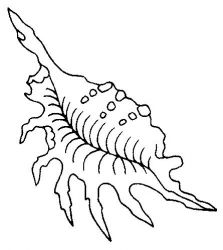 plansa de colorat la mare #3