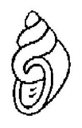 plansa de colorat la mare #4