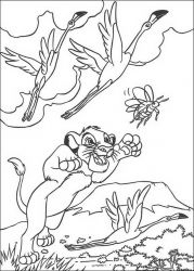 plansa de colorat lion king #20