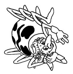 plansa de colorat maya the bee #3