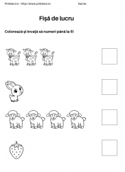 fise de lucru pentru  numere #9