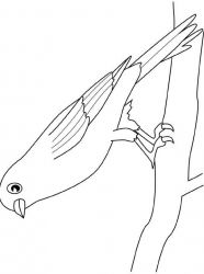 plansa de colorat pasari #4