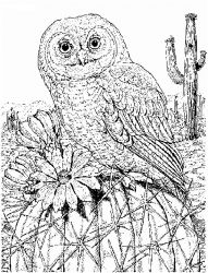 plansa de colorat pasari #6