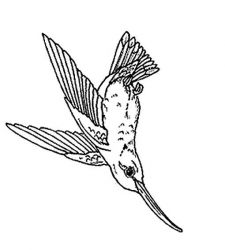 plansa de colorat pasari #10