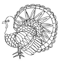 plansa de colorat pasari #19