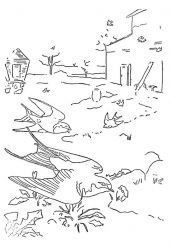 plansa de colorat pasari #16