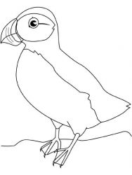 plansa de colorat pasari #1