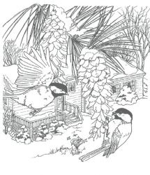 plansa de colorat pasari #8