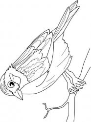 plansa de colorat pasari #10