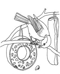 plansa de colorat pasari #1