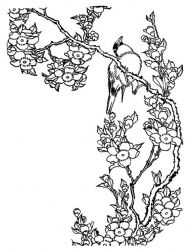 plansa de colorat pasari #7