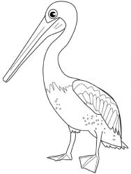 plansa de colorat pasari #13