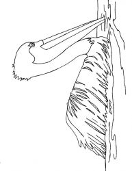 plansa de colorat pasari #14