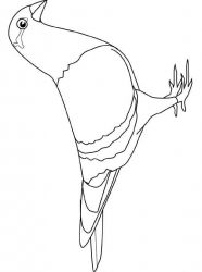 plansa de colorat pasari #2