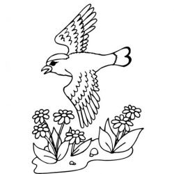 plansa de colorat primavara #7