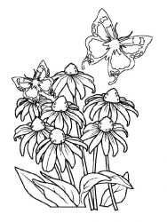 plansa de colorat primavara #12