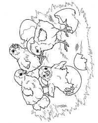 plansa de colorat primavara #17