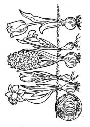 plansa de colorat primavara #18