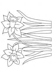 plansa de colorat primavara #21