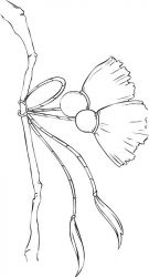 plansa de colorat primavara #8