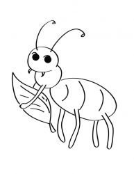 plansa de colorat primavara #20