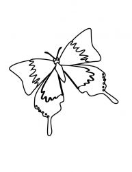 plansa de colorat primavara #21