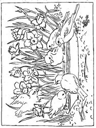 plansa de colorat primavara #10