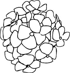 plansa de colorat primavara #11