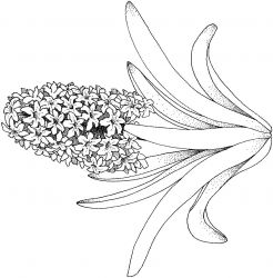 plansa de colorat primavara #1