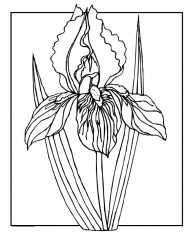 plansa de colorat primavara #4