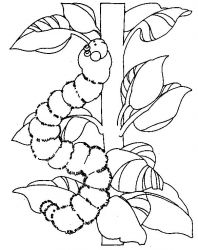 plansa de colorat primavara #9