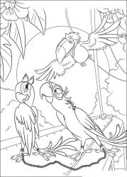 plansa de colorat rio #2